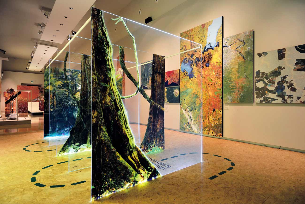 A section of the exhibition featuring images of trees and forests